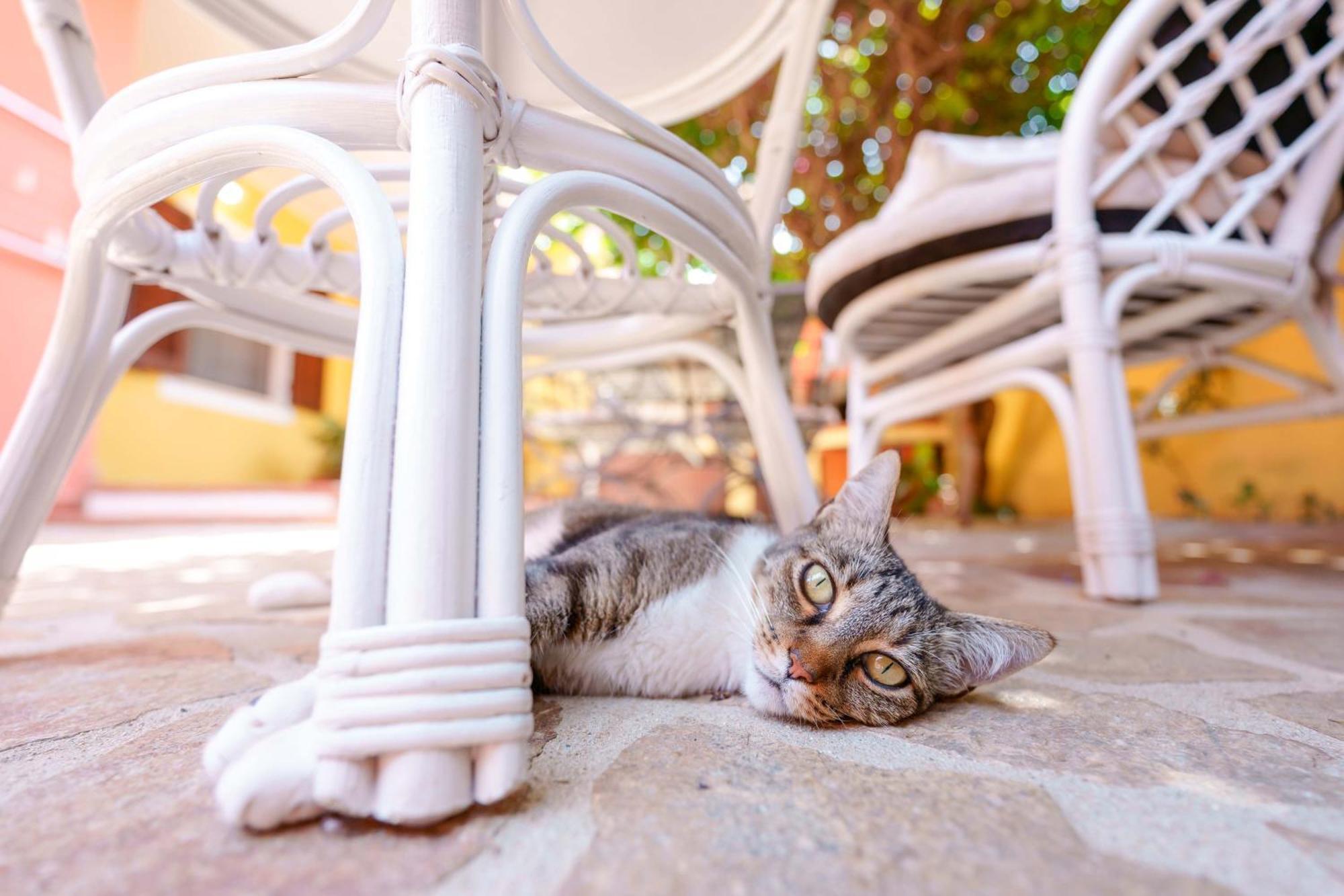 Il Piccolo Giardino Rooms & Breakfast Villasimius Dış mekan fotoğraf