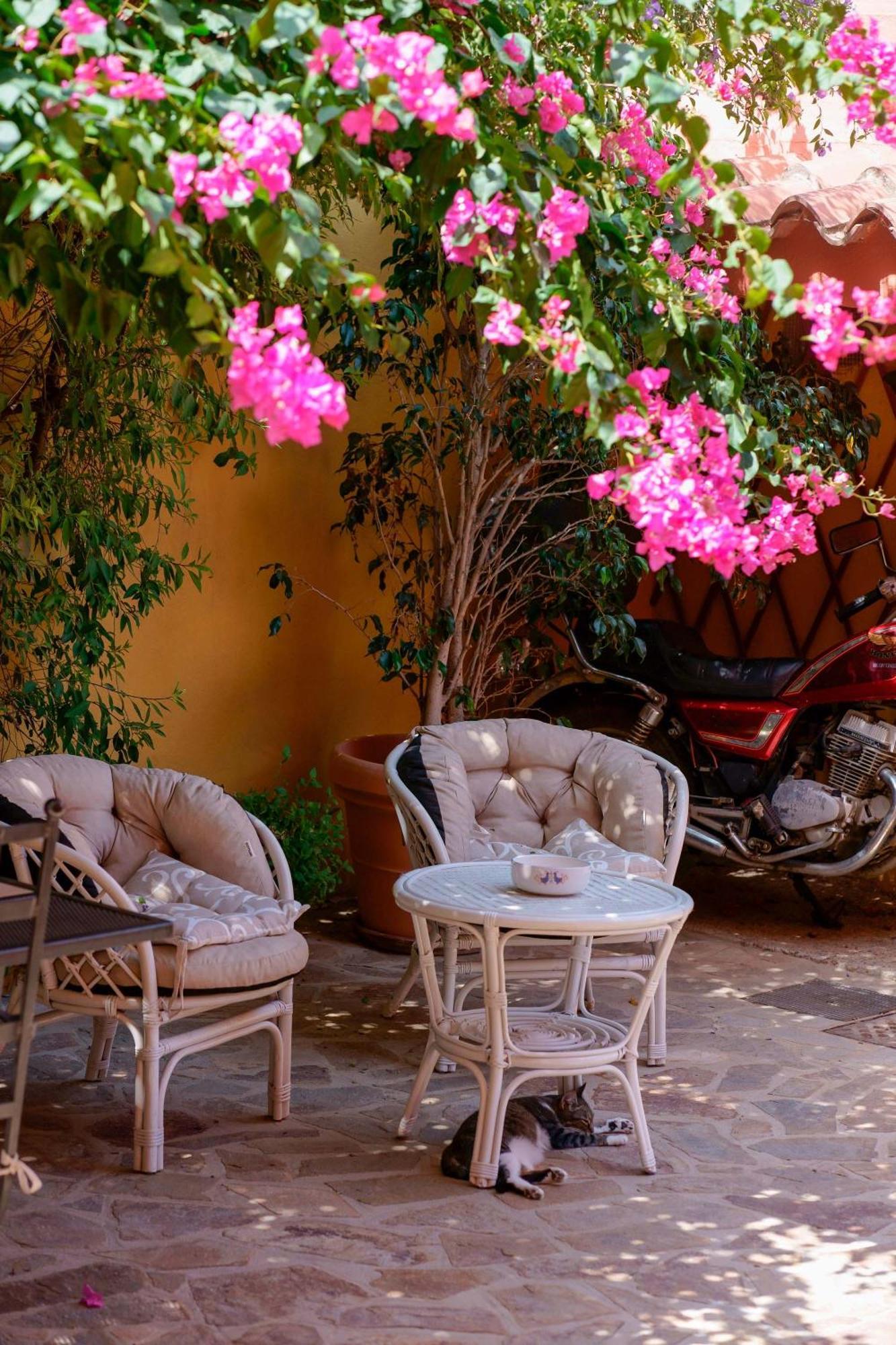 Il Piccolo Giardino Rooms & Breakfast Villasimius Dış mekan fotoğraf