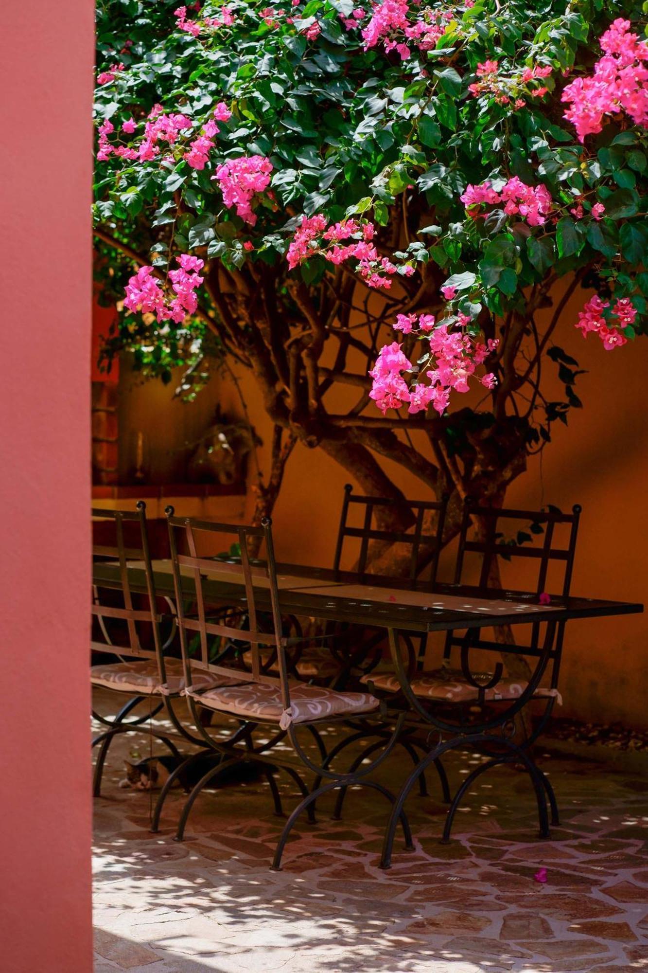 Il Piccolo Giardino Rooms & Breakfast Villasimius Dış mekan fotoğraf